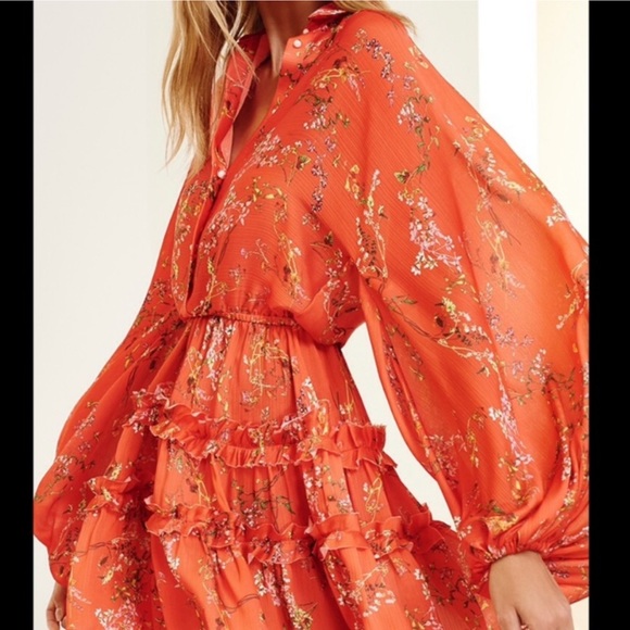 Alexis Loe Blooming Red Dress - Picture 2 of 7